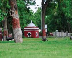 The museum has an alluring garden that is seen filled with voiceless creatures like peacocks and monkeys who enjoy the green lush grass and natural ha